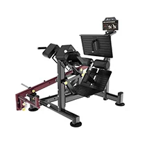 DYNAFORCE デュアル45ヒップエクステンション