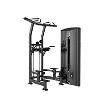 DYNAFORCE チンディップ